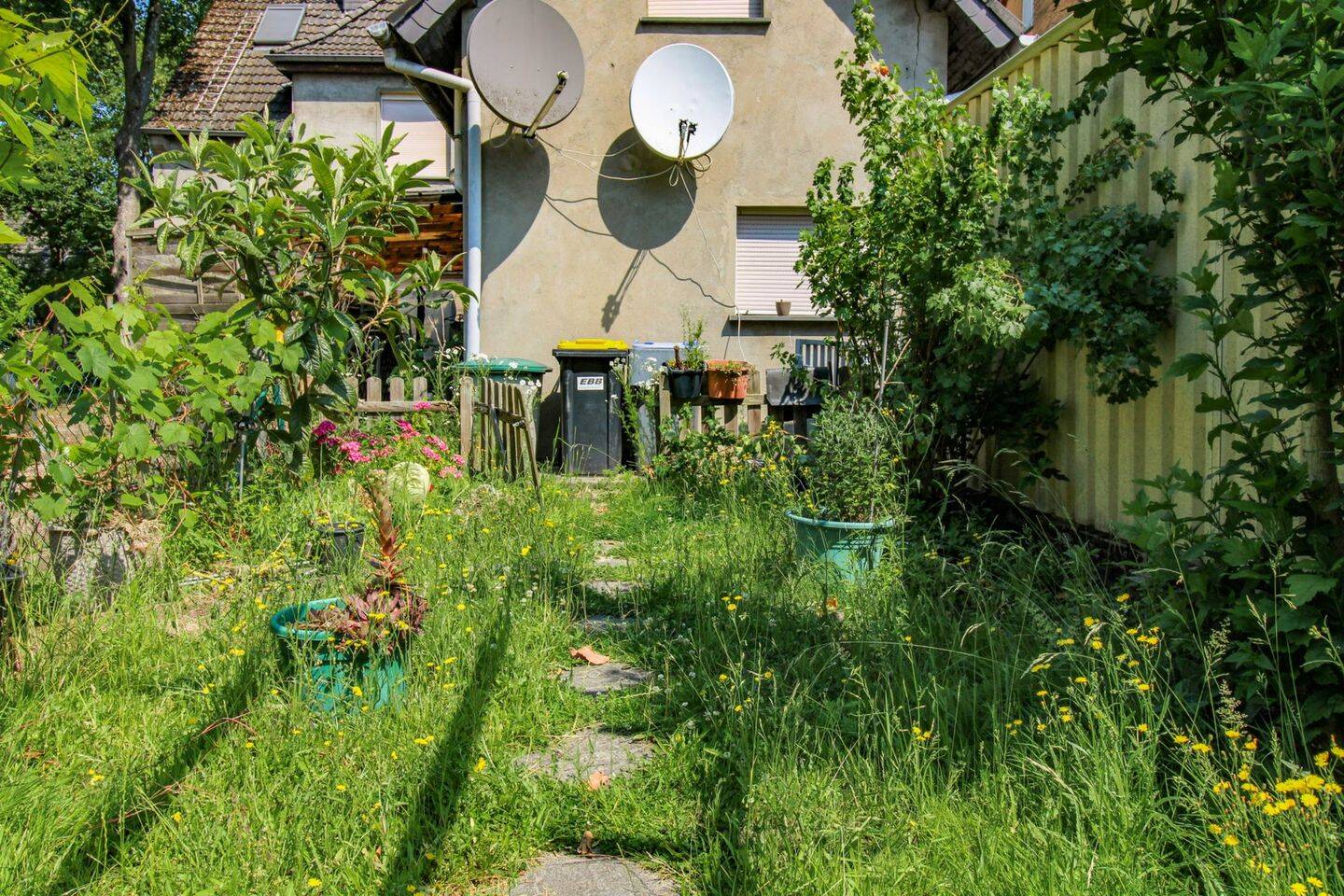 Bild 5