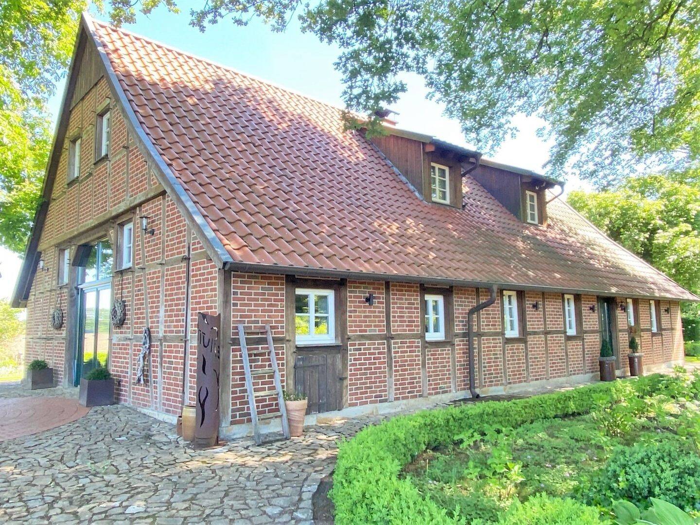 Bild 5