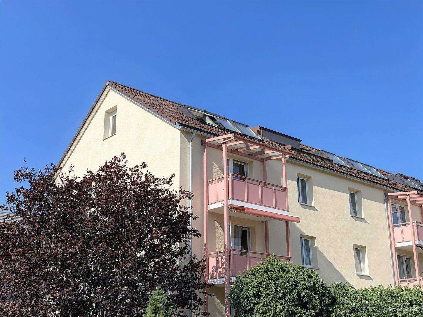 Bild 5