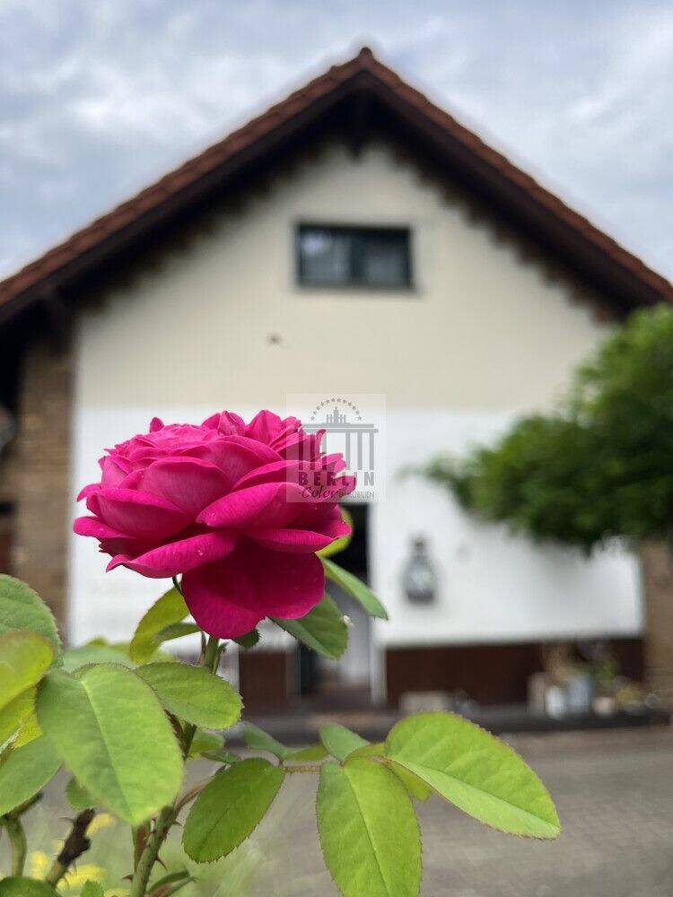 Charmantes Anwesen mit zusätzlichem Bungalow und vielseitigen Nutzungsmöglichkeiten, 3205 Calau