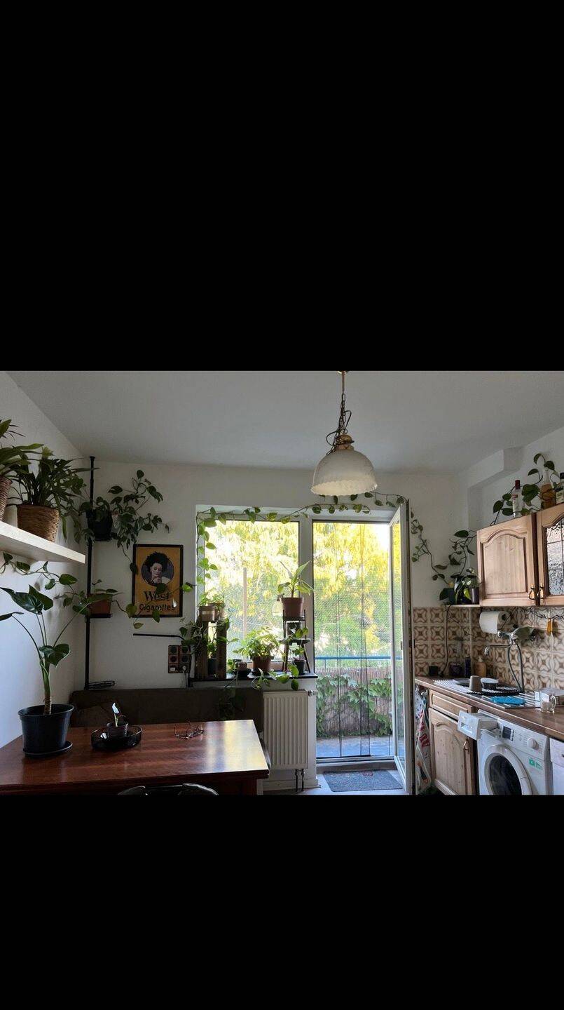 Helles WG Zimmer in der Südstadt, 34121 Kassel (Mitte Süd Wehlheiden)