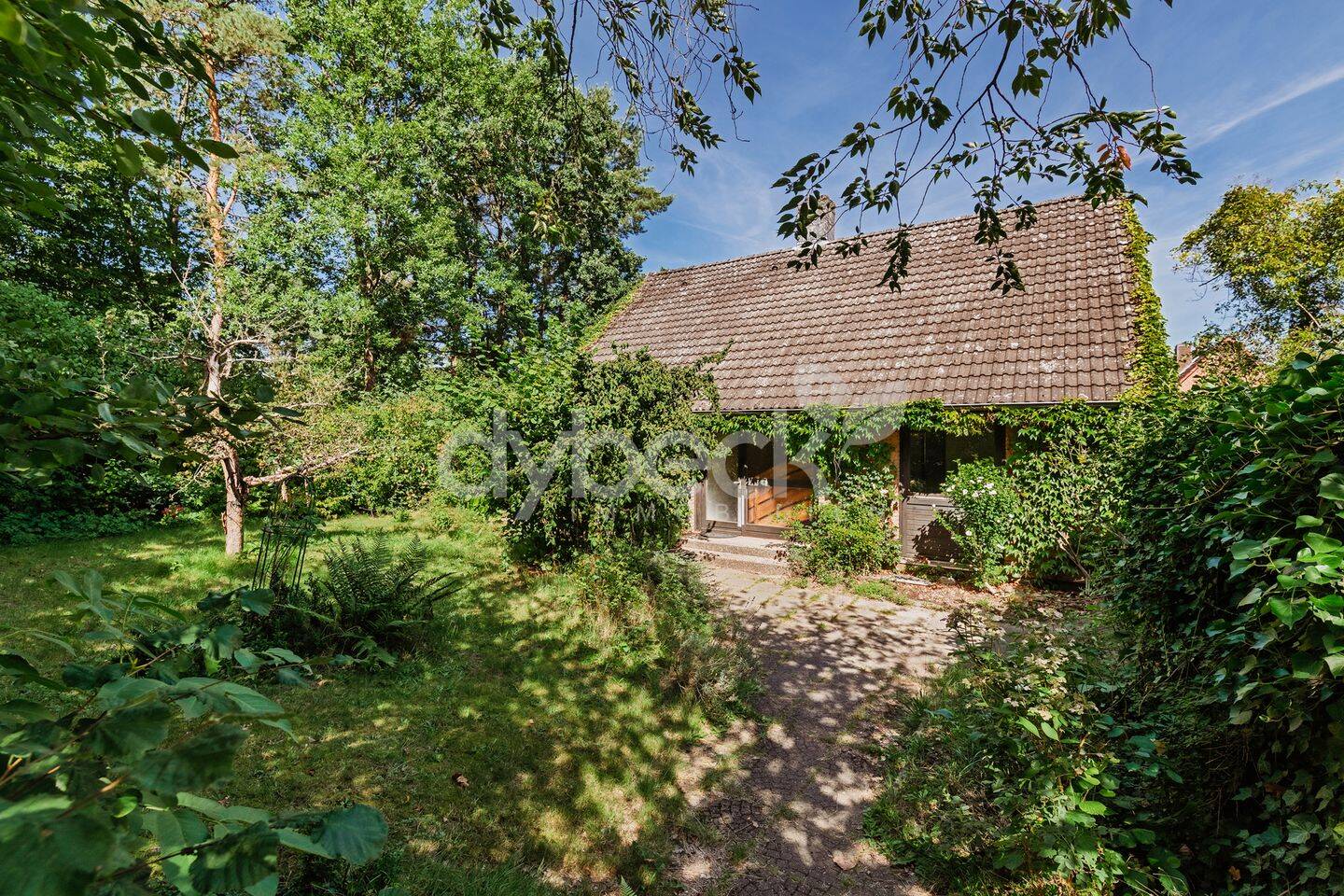 Viel Potenzial in begehrter Lage: Freistehendes Einfamilienhaus mit großem Garten in Lüneburg, 21335 Lüneburg