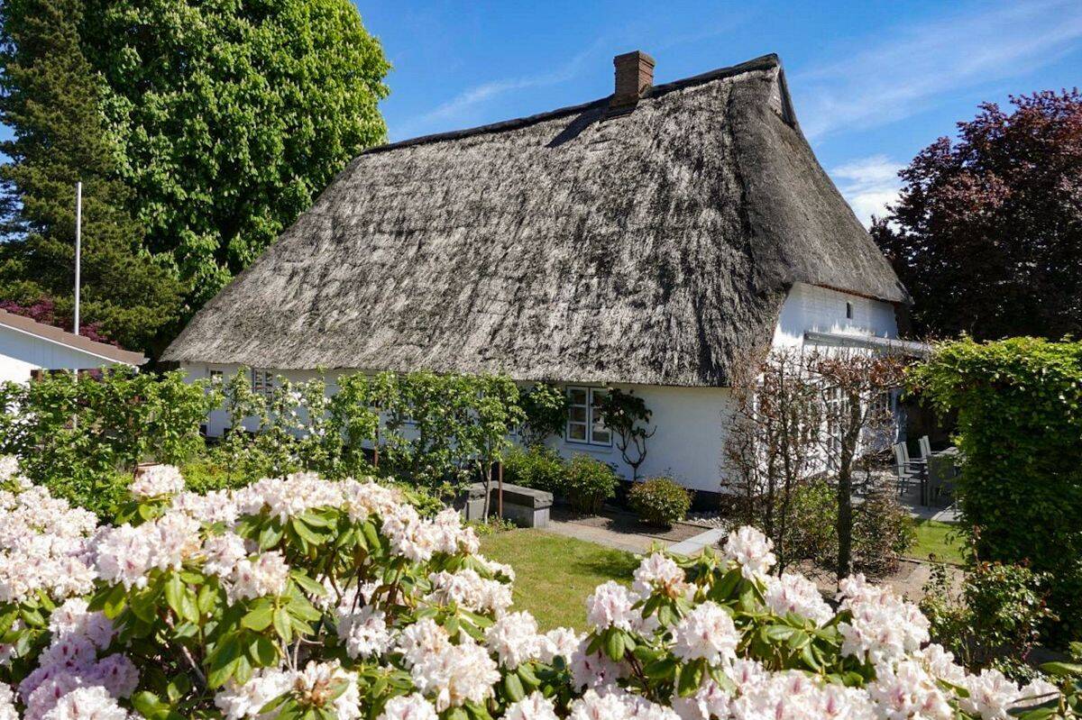 Schlei: Historie trifft Design | Kernsaniertes Reetdachhaus | Cottage | Gartenanlage | Doppelgarage, 24354 Kosel