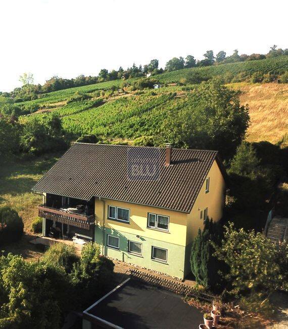 1-3FH, sonnige Top–Weinberg-Lage, freistehend, Balkon, Terrassen, gr. Garten, Doppelgarage, …, 76356 Weingarten (Baden)