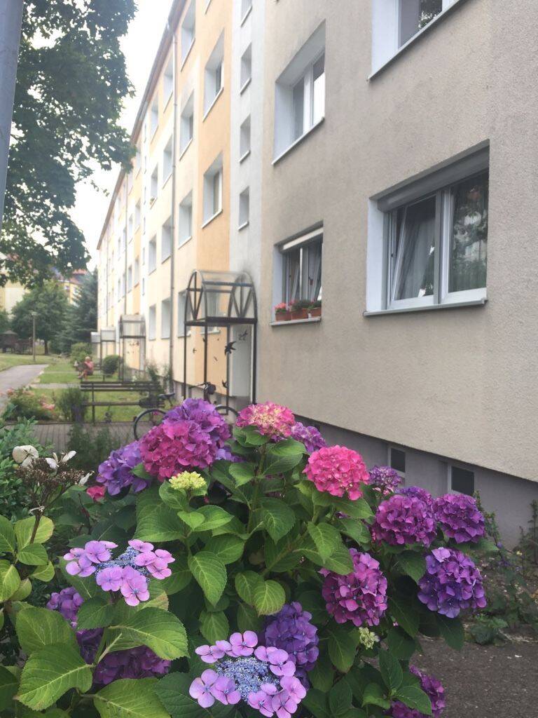 Daheim! 2 Raumwohnung mit Dusche im 1.OG in Colditz, 4680 Colditz