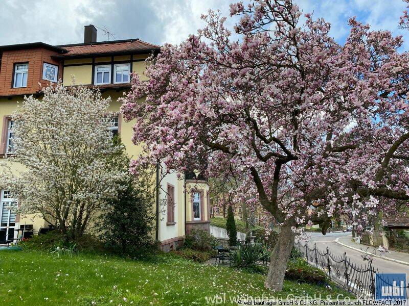 Jugendstilvilla: große und repräsentative Wohnung, 4736 Waldheim