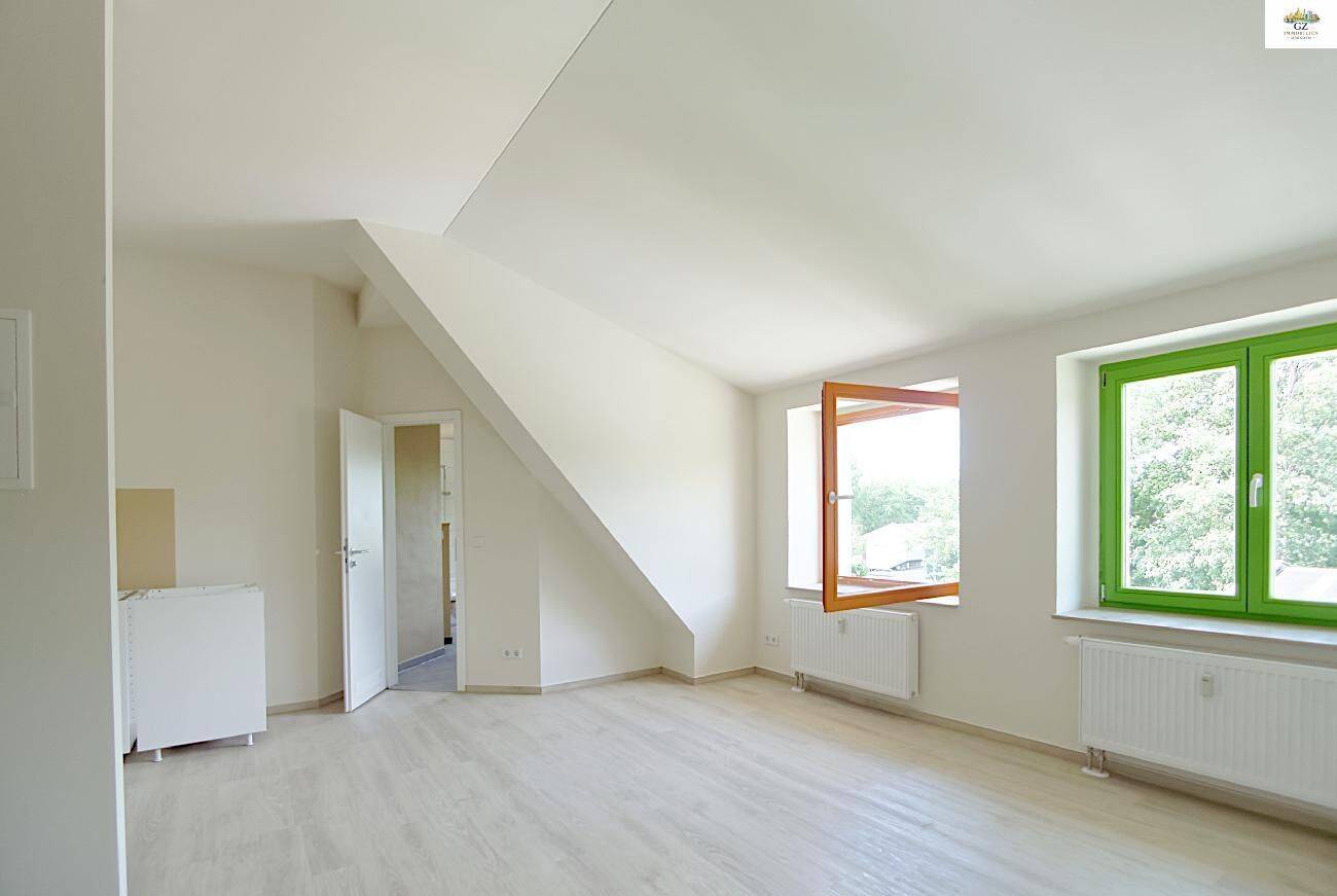 Großes Dach-Apartment mit EBK, 1097 Dresden (Innere Neustadt Leipziger Vorstadt Pieschen-Nord/Trachenberge Äußere Neustadt)