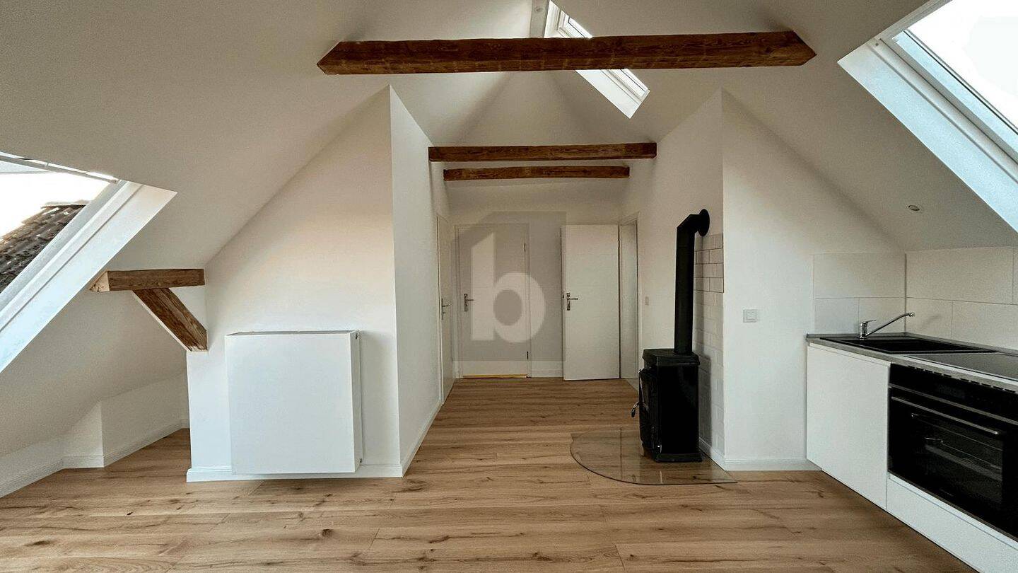 MINIATUR PENTHOUSE MIT LOFT CHARAKTER, 21493 Schwarzenbek