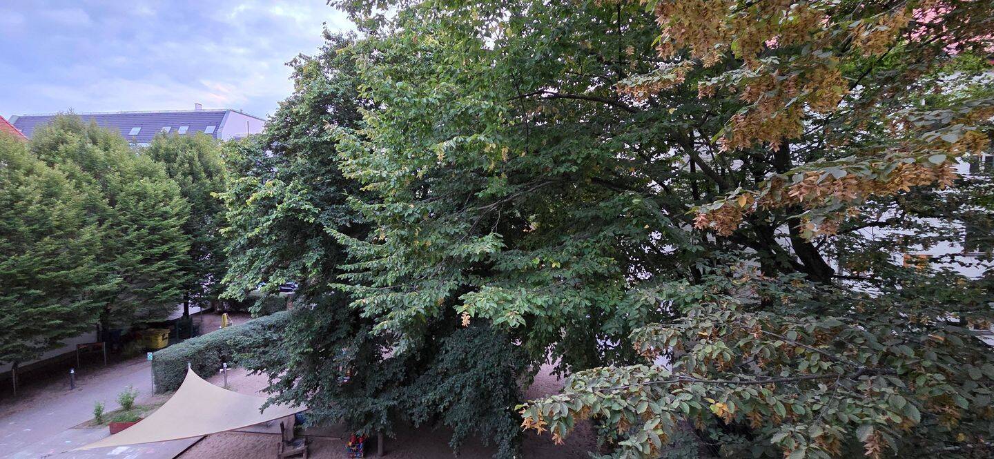 Sehr helle, neu renovierte Einzimmerwohnung in Weissensee, 13086 Berlin (Pankow Weißensee)