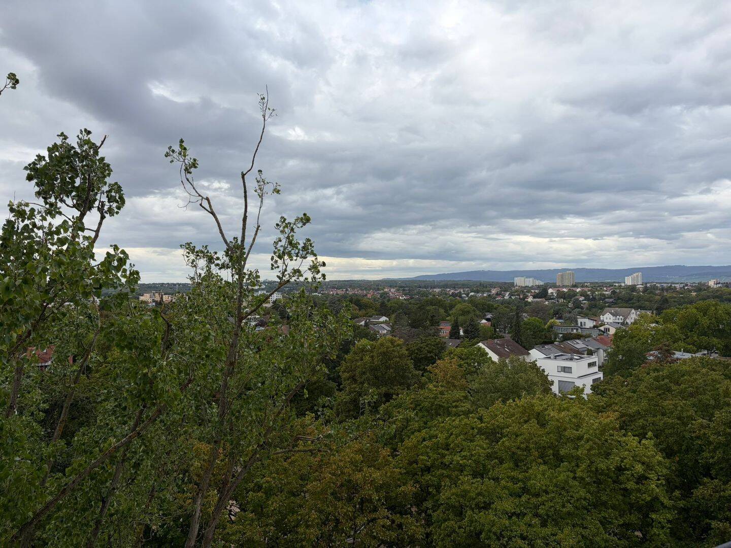 Mietwohnung, 1 Zimmer, 41 m², in Mainz, 55122 Mainz (Gonsenheim Hartenberg/Münchfeld Neustadt)