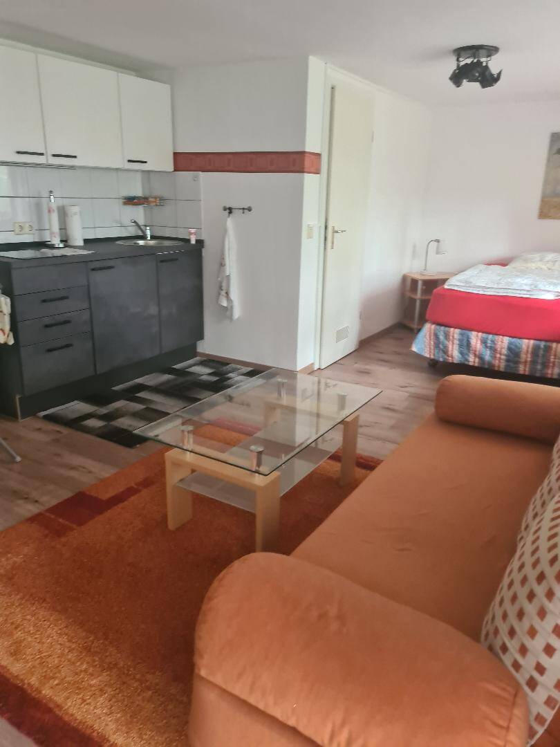 möblierte 1-Zimmer-Wohnung, 69251 Gaiberg