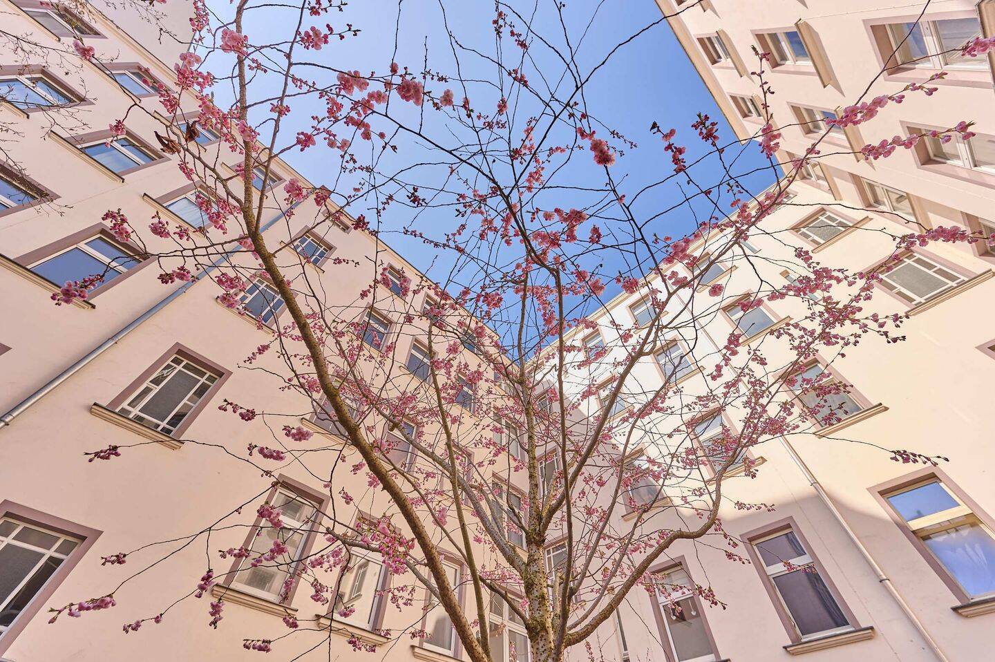 3-Zimmerwohnung (4.OG) – Nähe Humboldthain (bezugsfrei) – provisionsfrei!, 13357 Berlin (Mitte Gesundbrunnen Kolonie Sandkrug I Wedding)