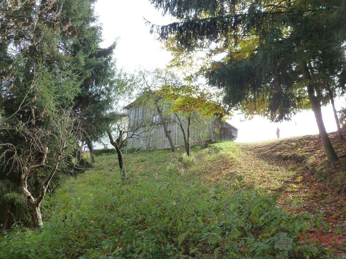 Bild 9