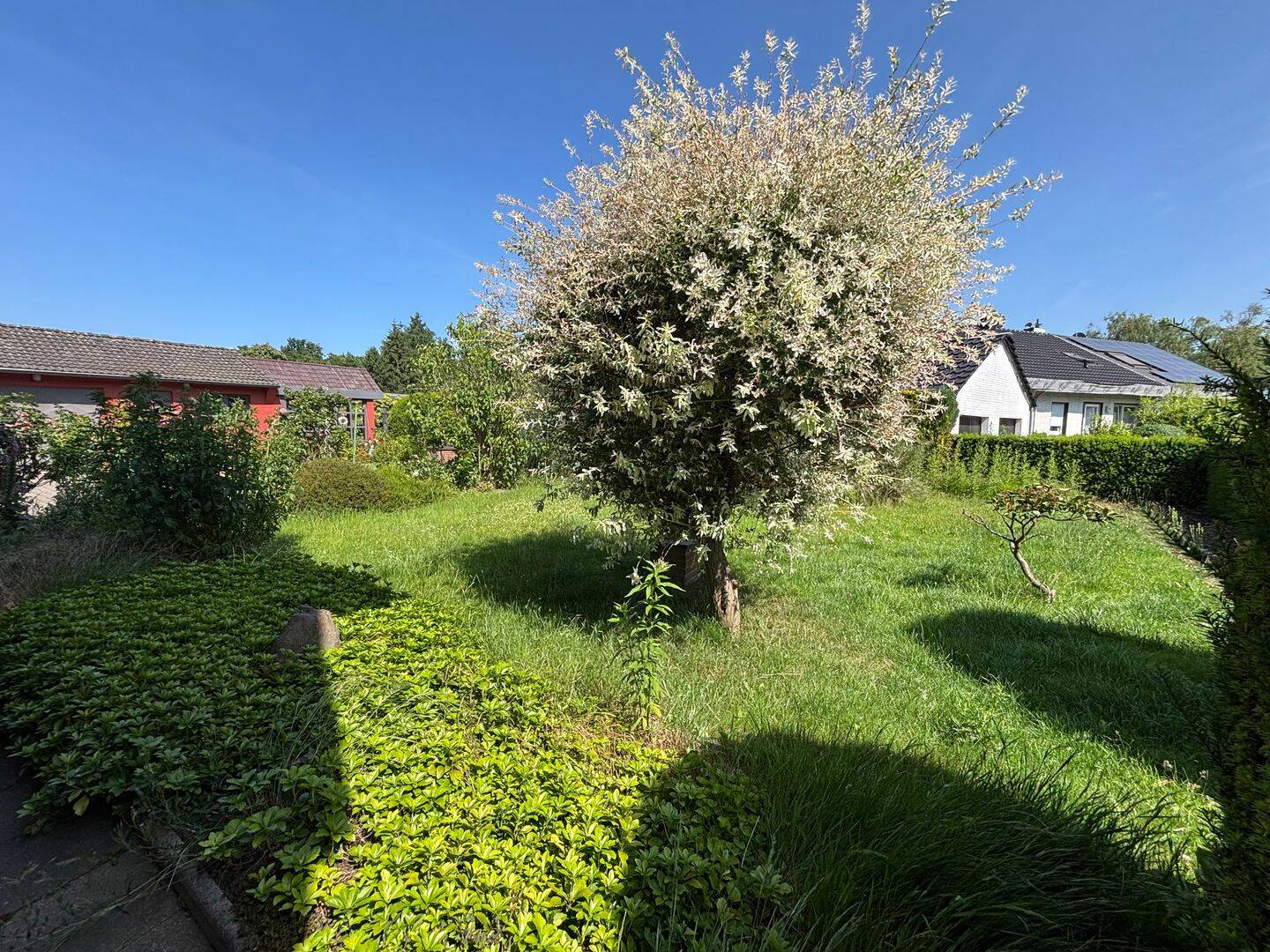 Bild 11
