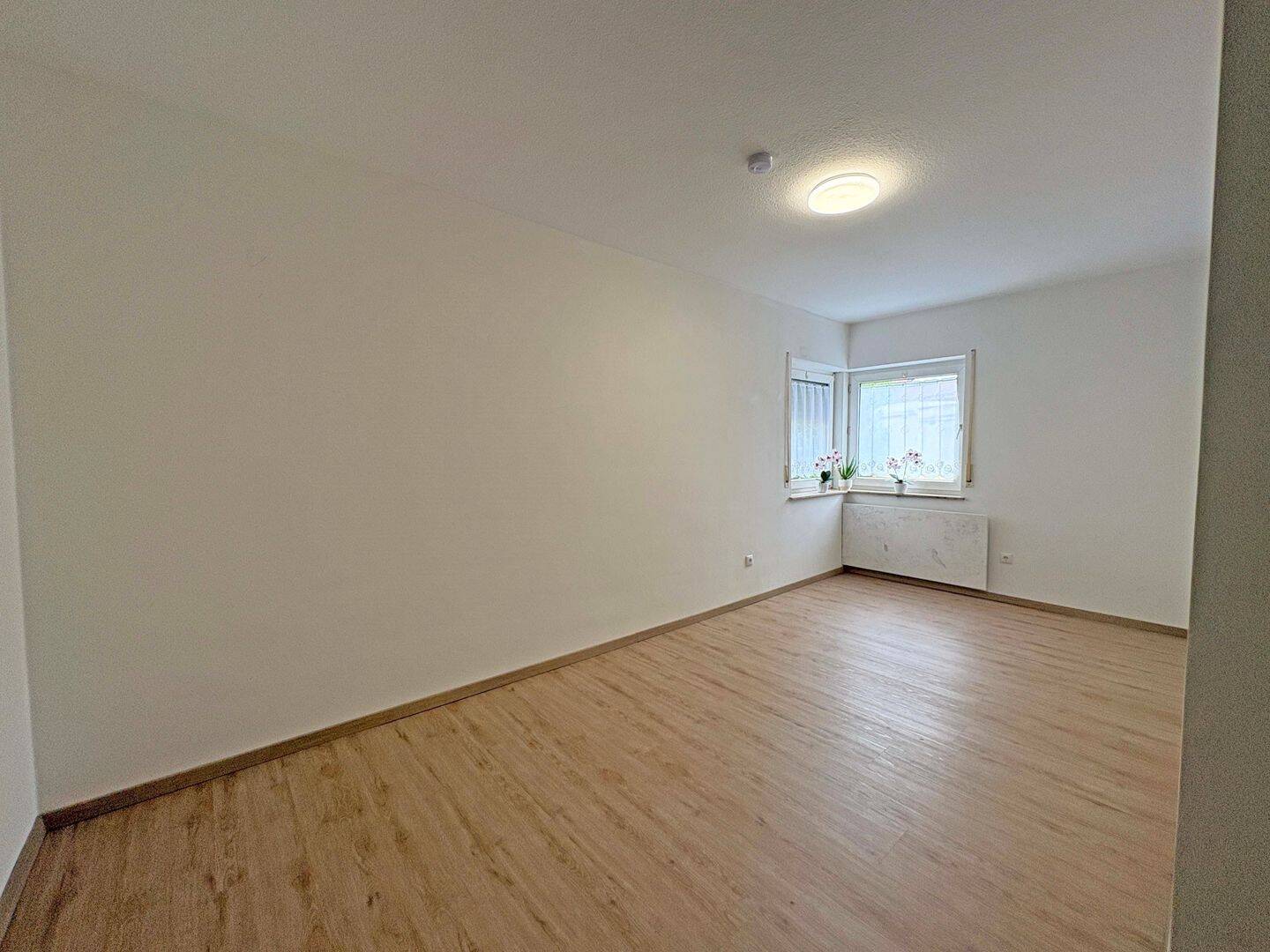 Bild 19