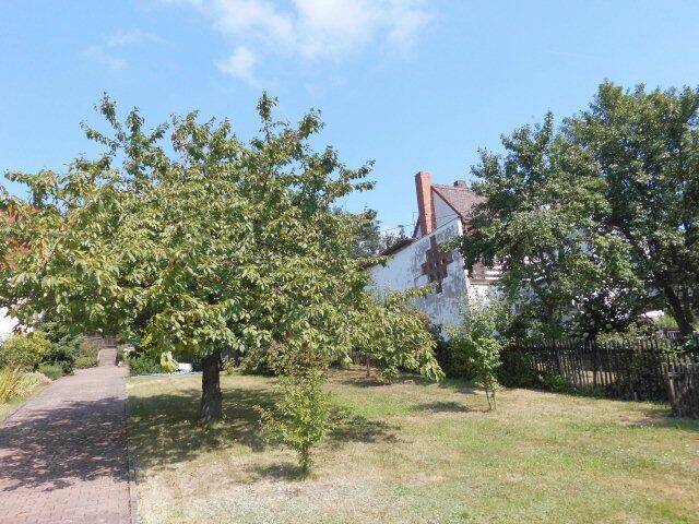 Bild 7