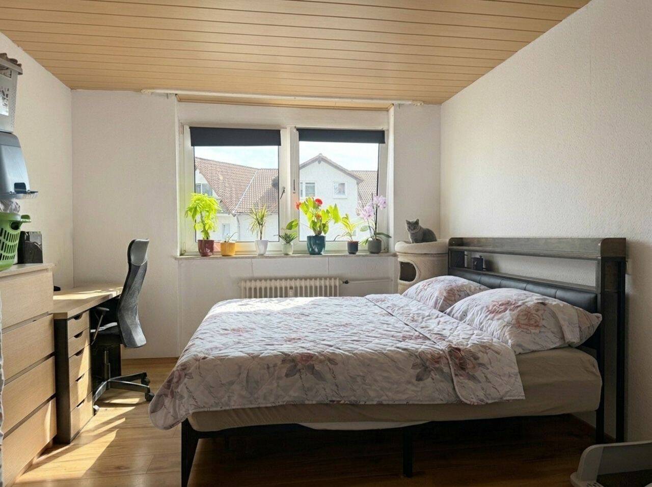 Bild 18