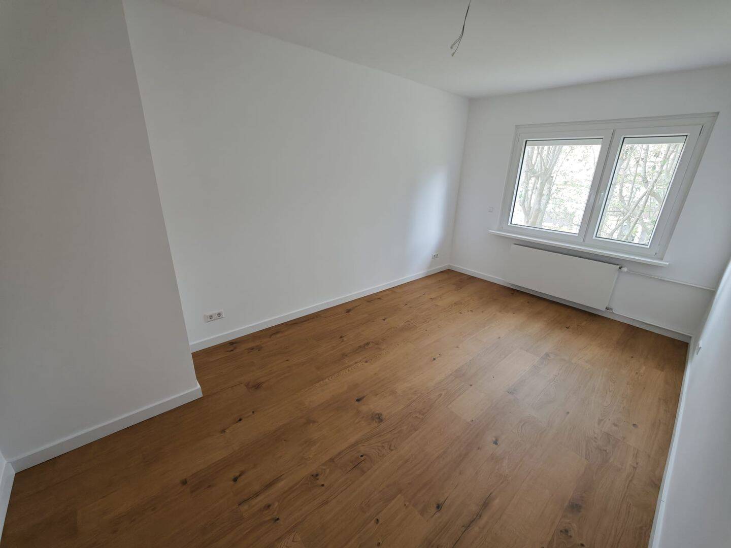 Bild 19