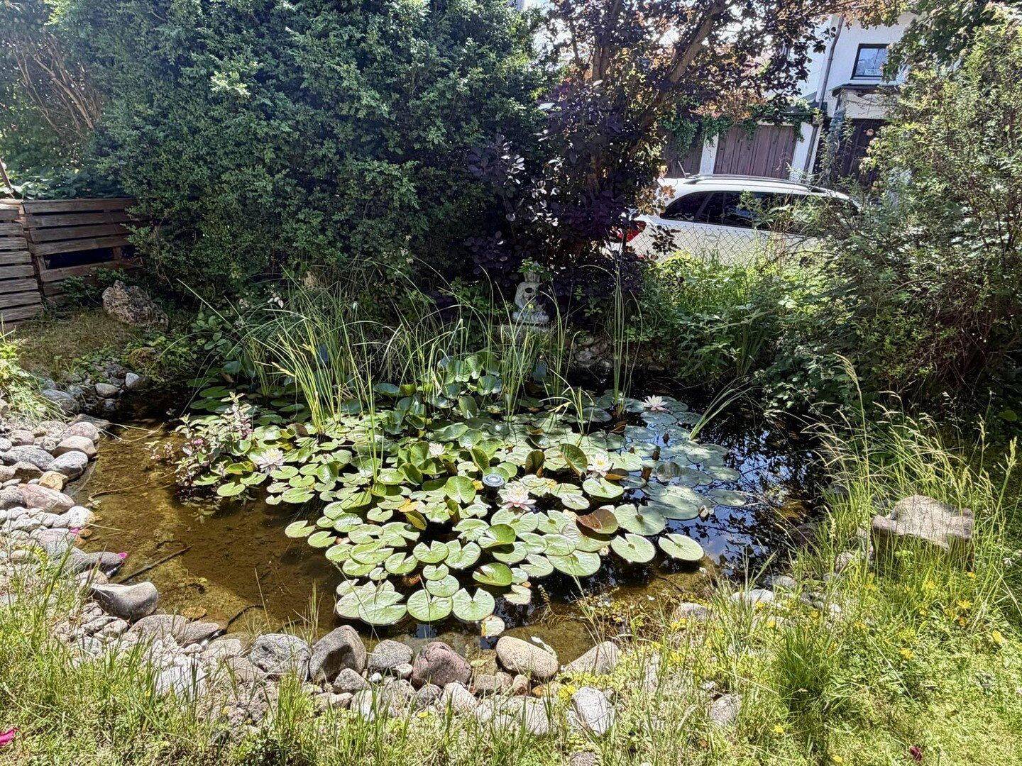Bild 9