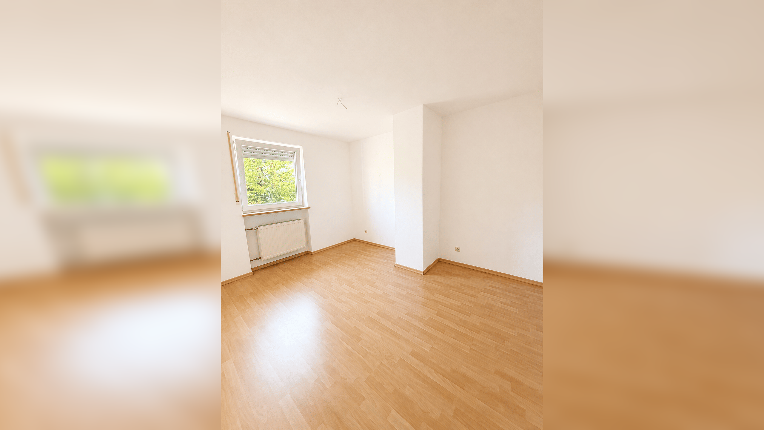 Bild 19