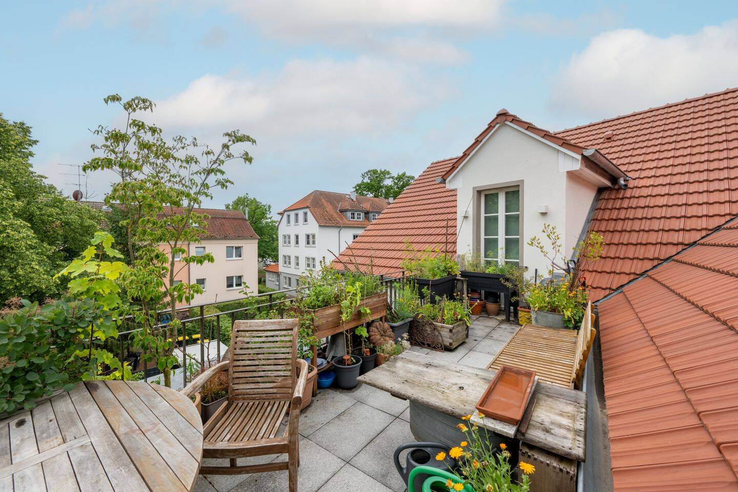 Bild 19