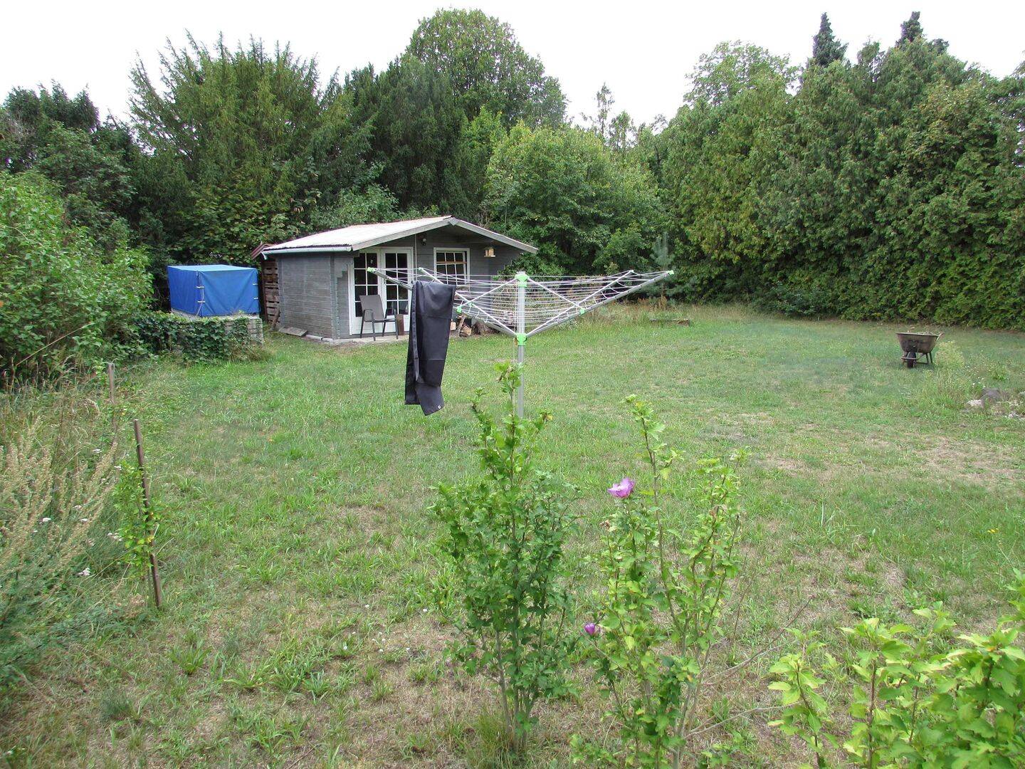 Bild 10