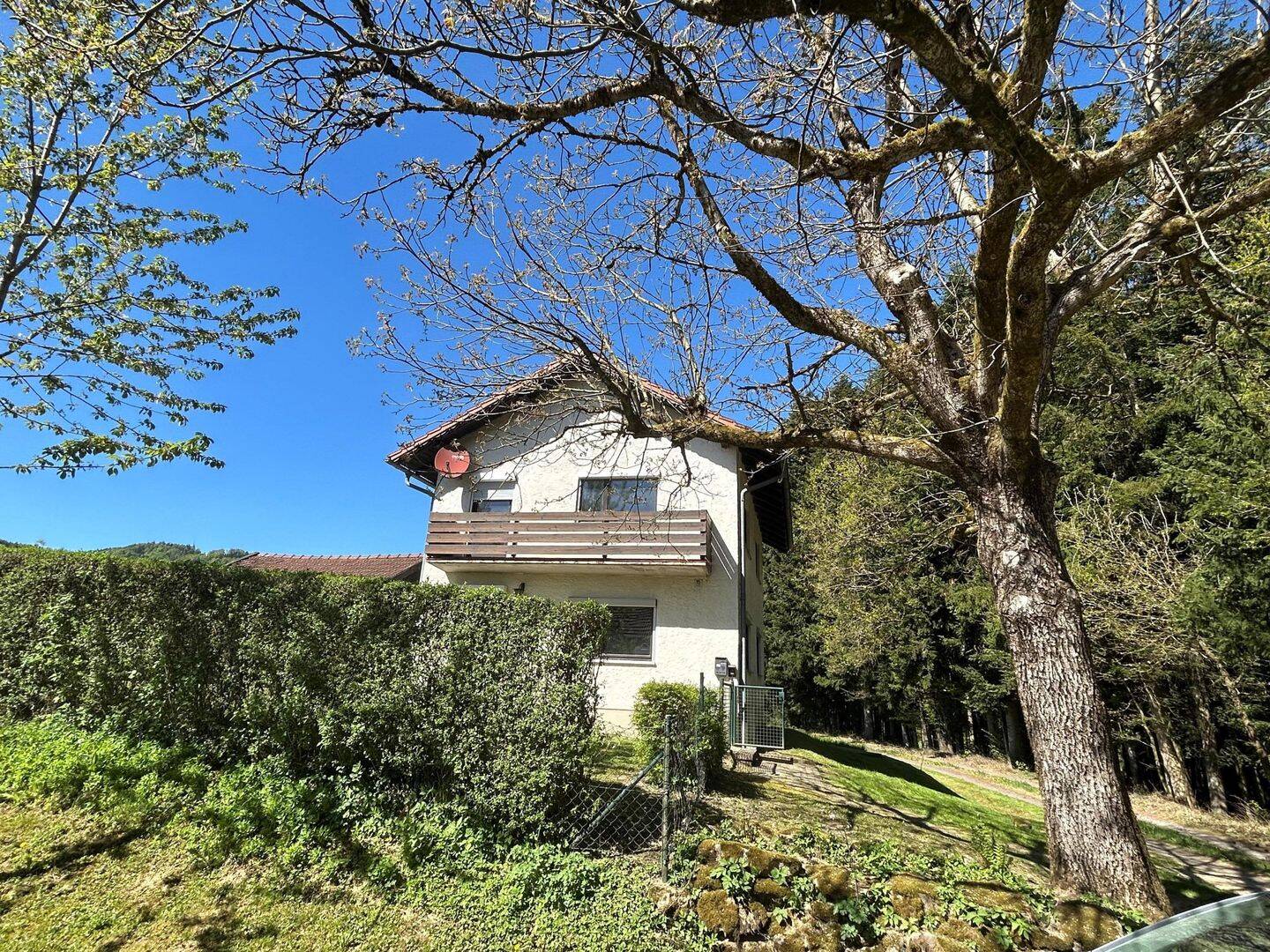 Bild 18