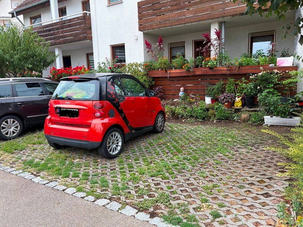 Bild 19