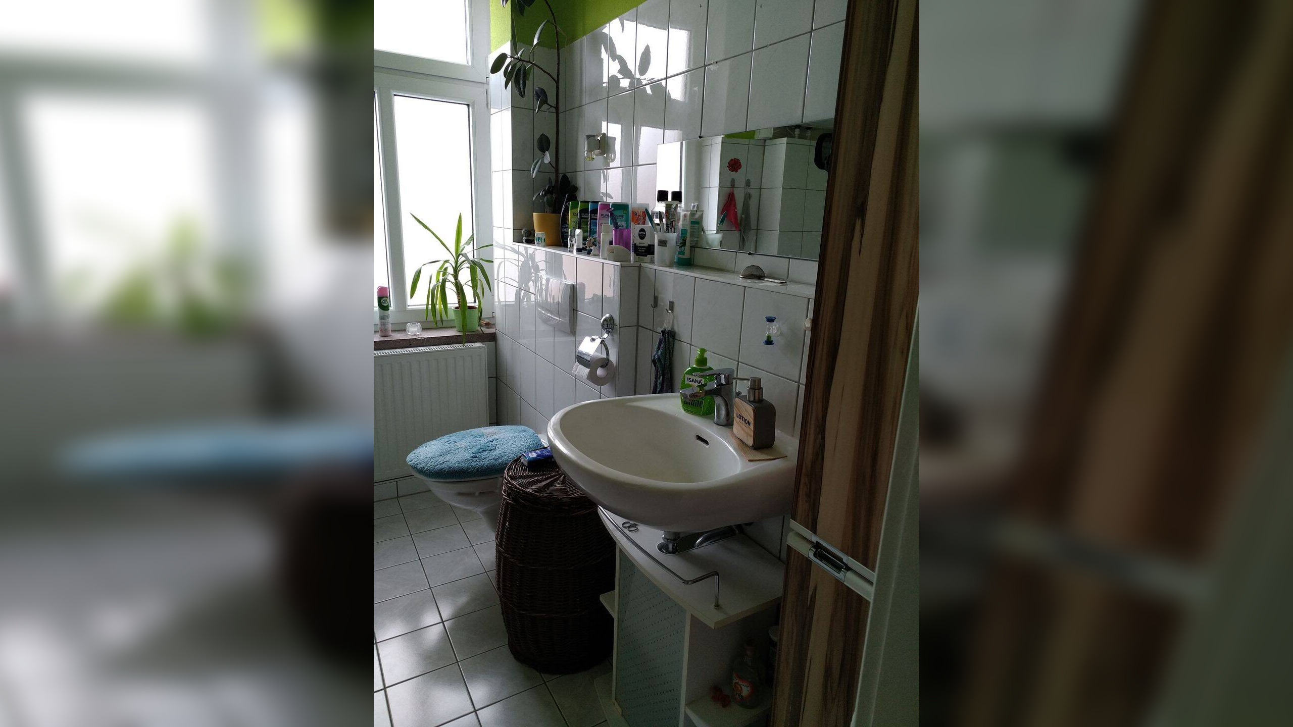 Bild 8