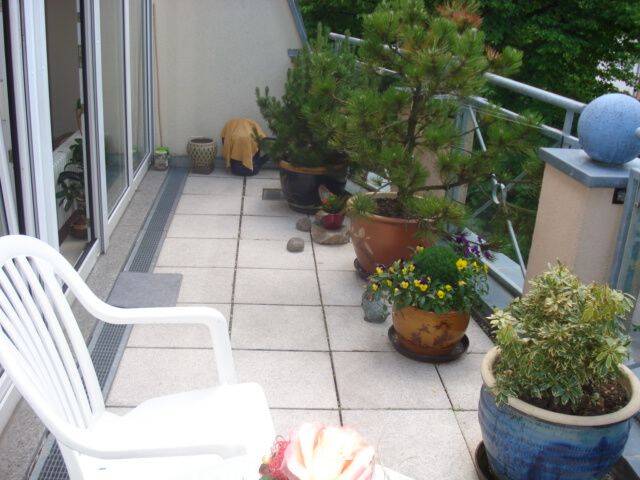 Bild 20