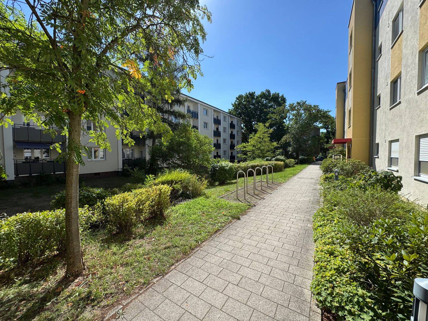 Bild 19