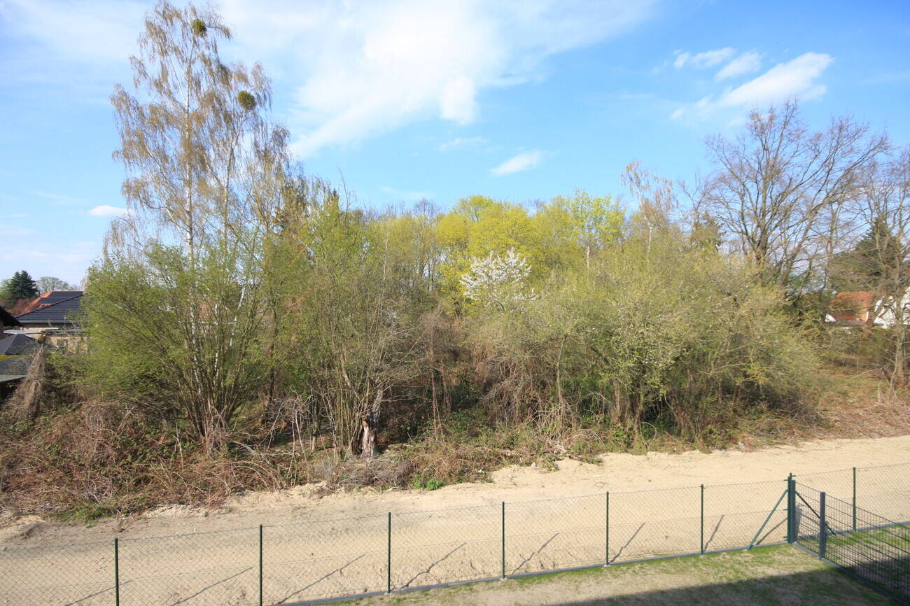 Bild 11