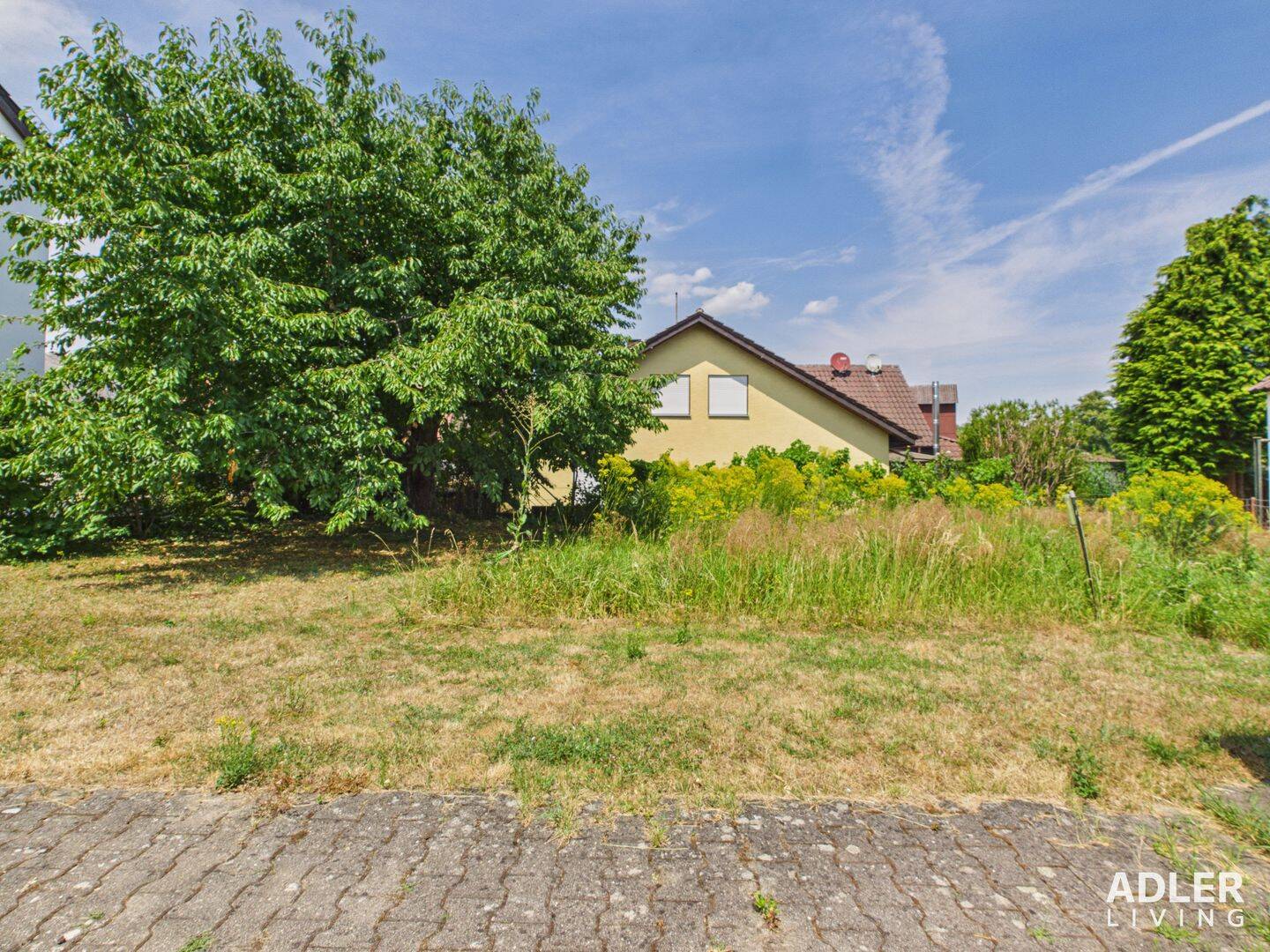 Bild 10
