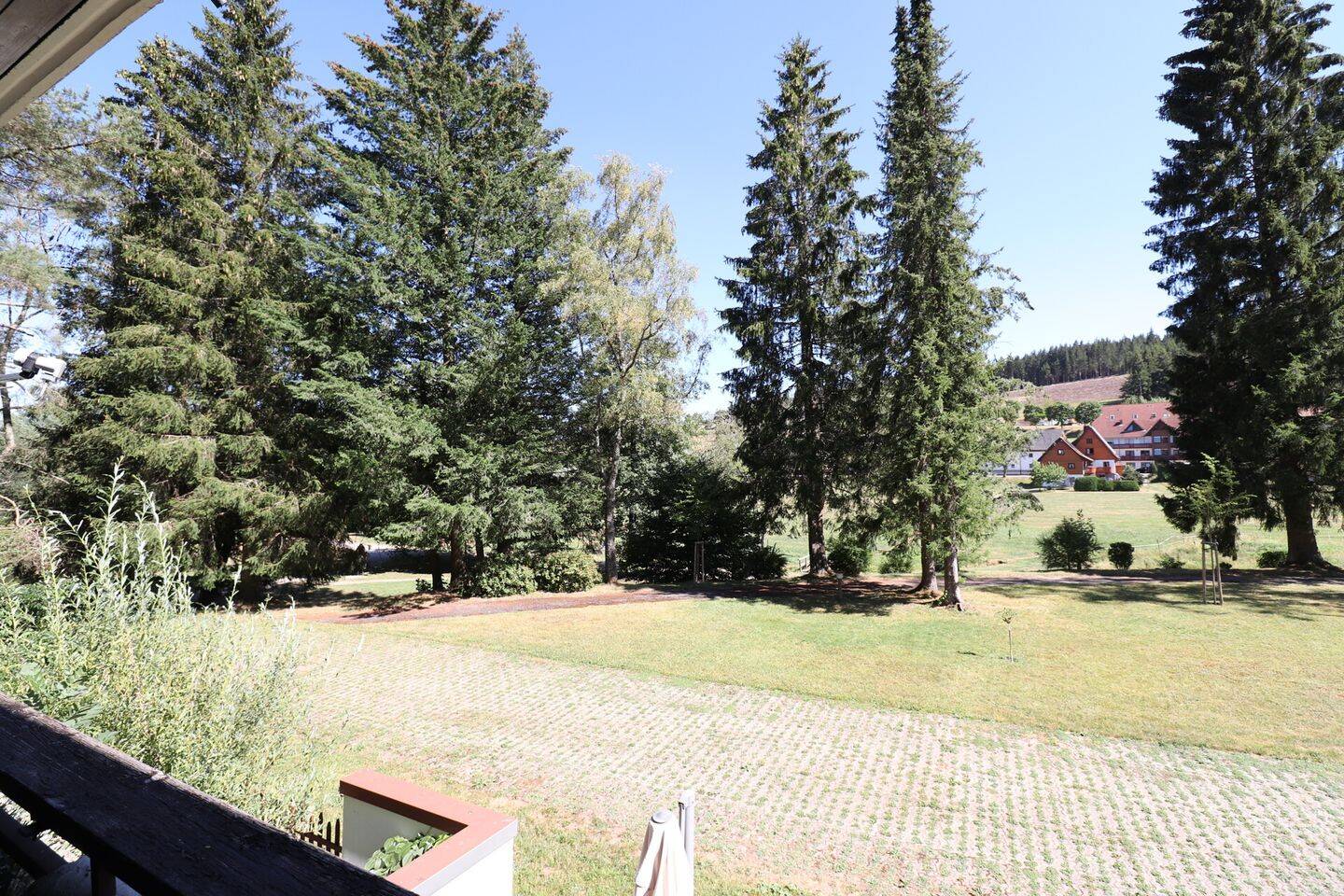 Bild 19