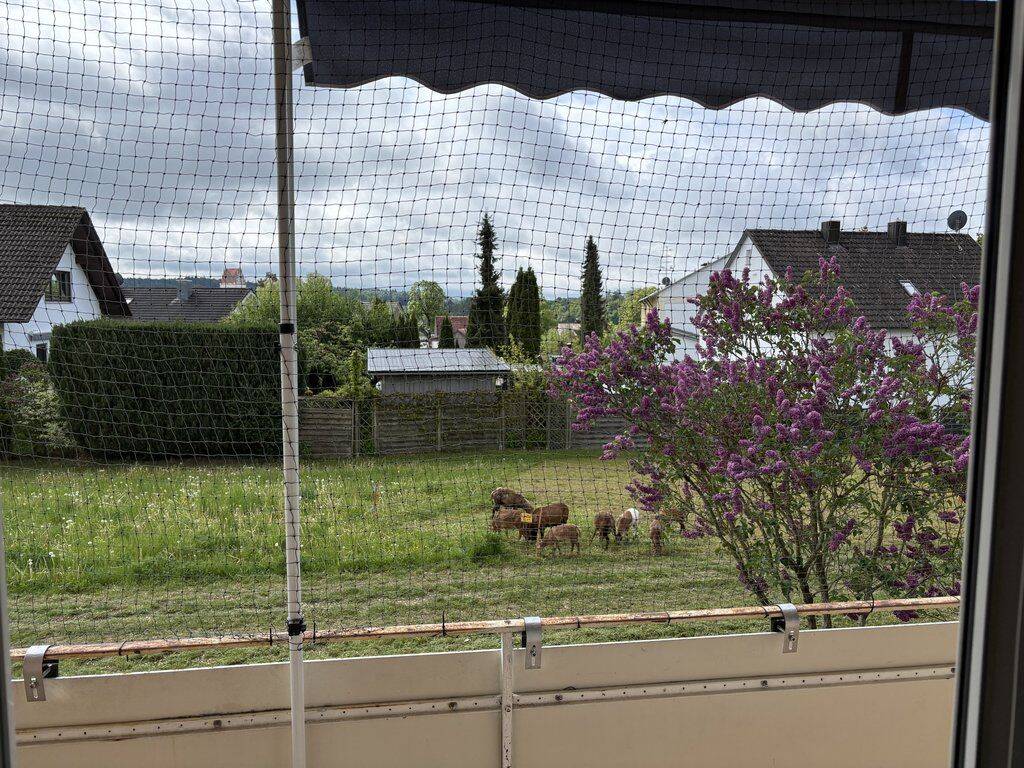 Bild 5