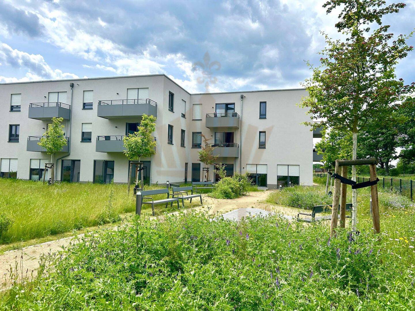 Bild 5
