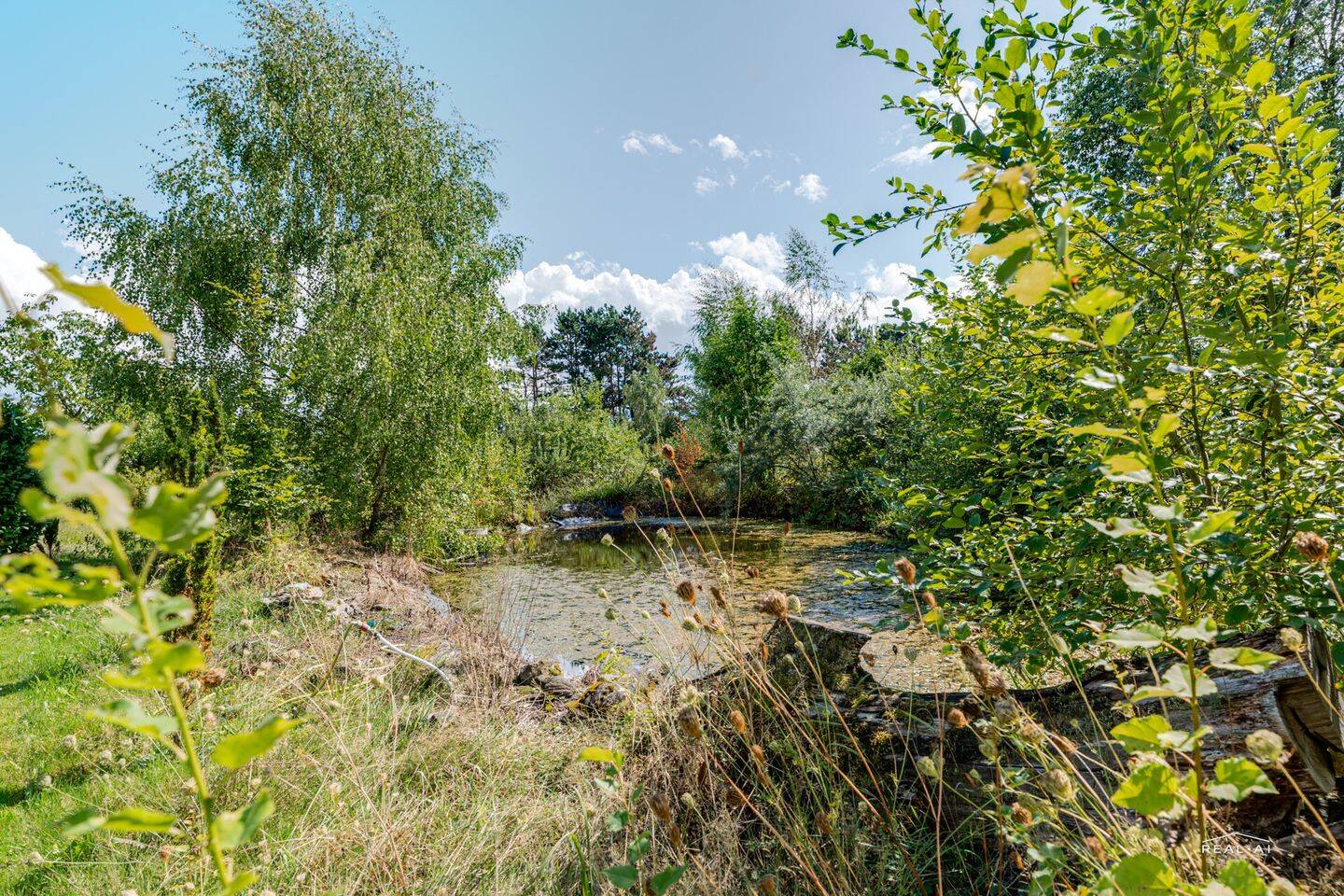 Bild 5