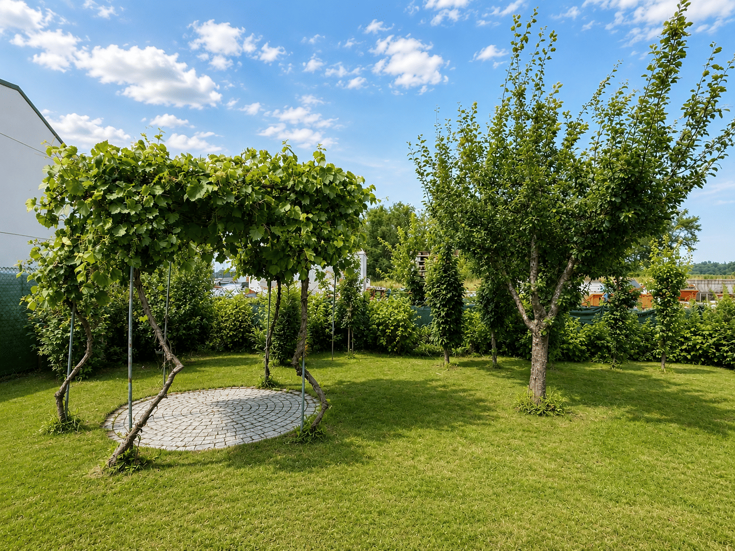Bild 9