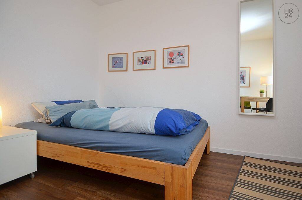 Schön möbliertes 1-Zimmer Apartment mit Dachterrassennutzung in der Mainzer Altstadt, 55116 Mainz (Altstadt Neustadt Oberstadt)