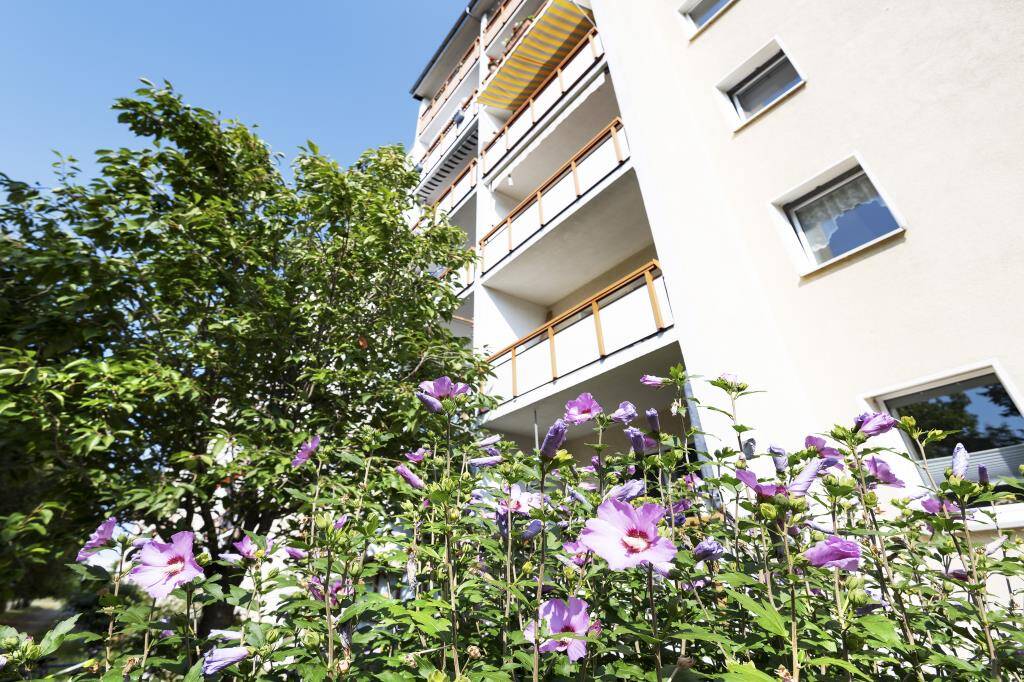 Keine Wartezeit Ihr neues Zuhause wartet/ Move in without delay your new home is waiting for you, 4207 Leipzig (Großzschocher Grünau-Siedlung Kleinzschocher Lausen-Grünau)