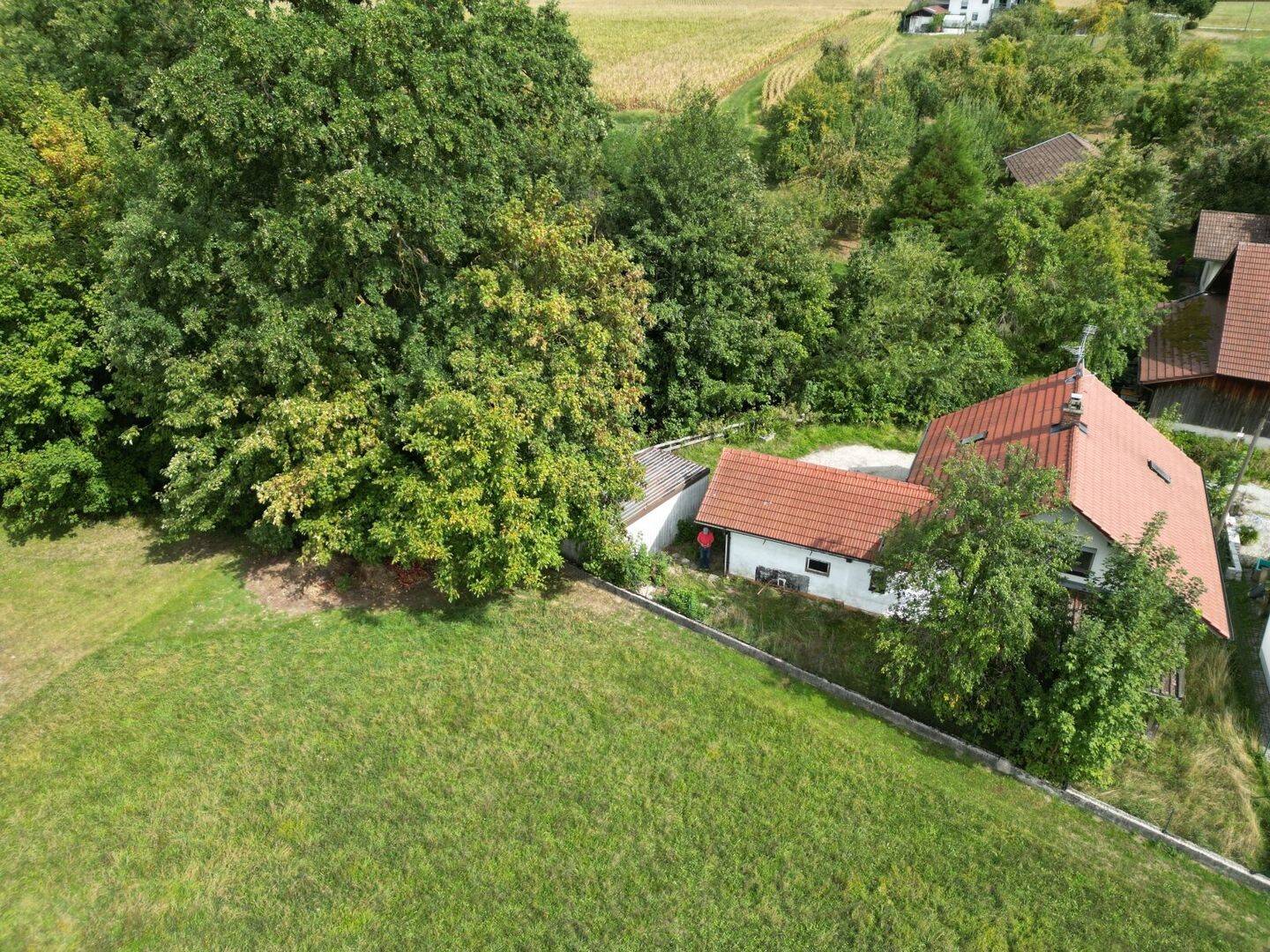Bild 13