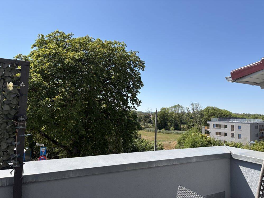 Bild 19