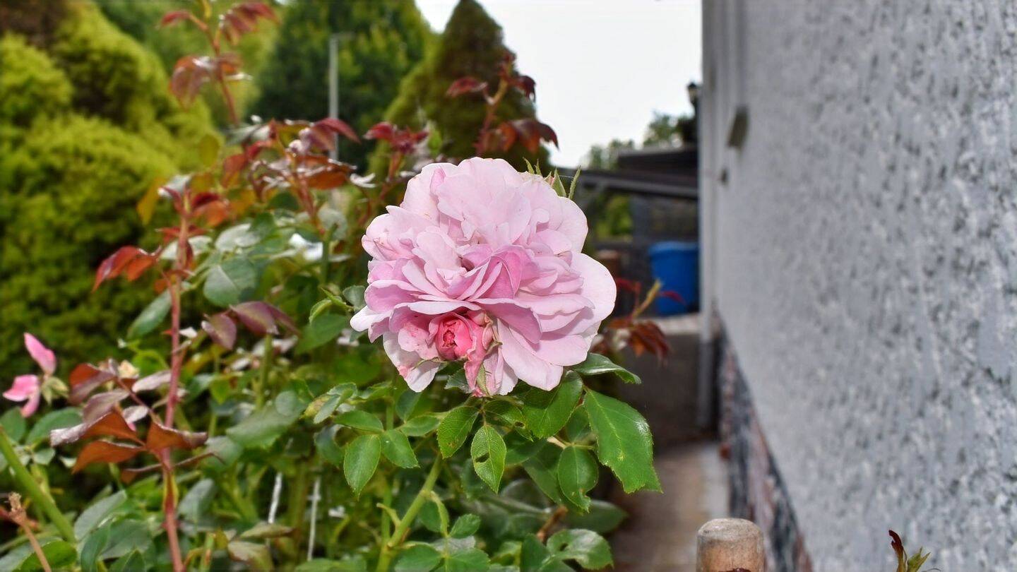 Bild 9