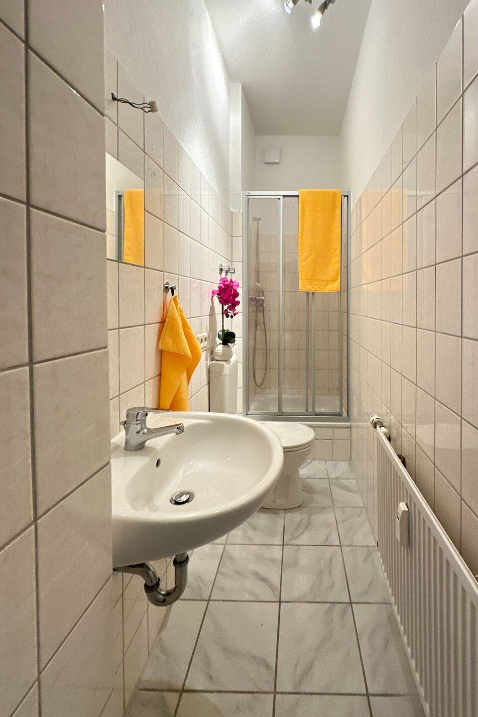 Studentennest mit Duschbad in Uninähe, 39106 Magdeburg (Alte Neustadt)