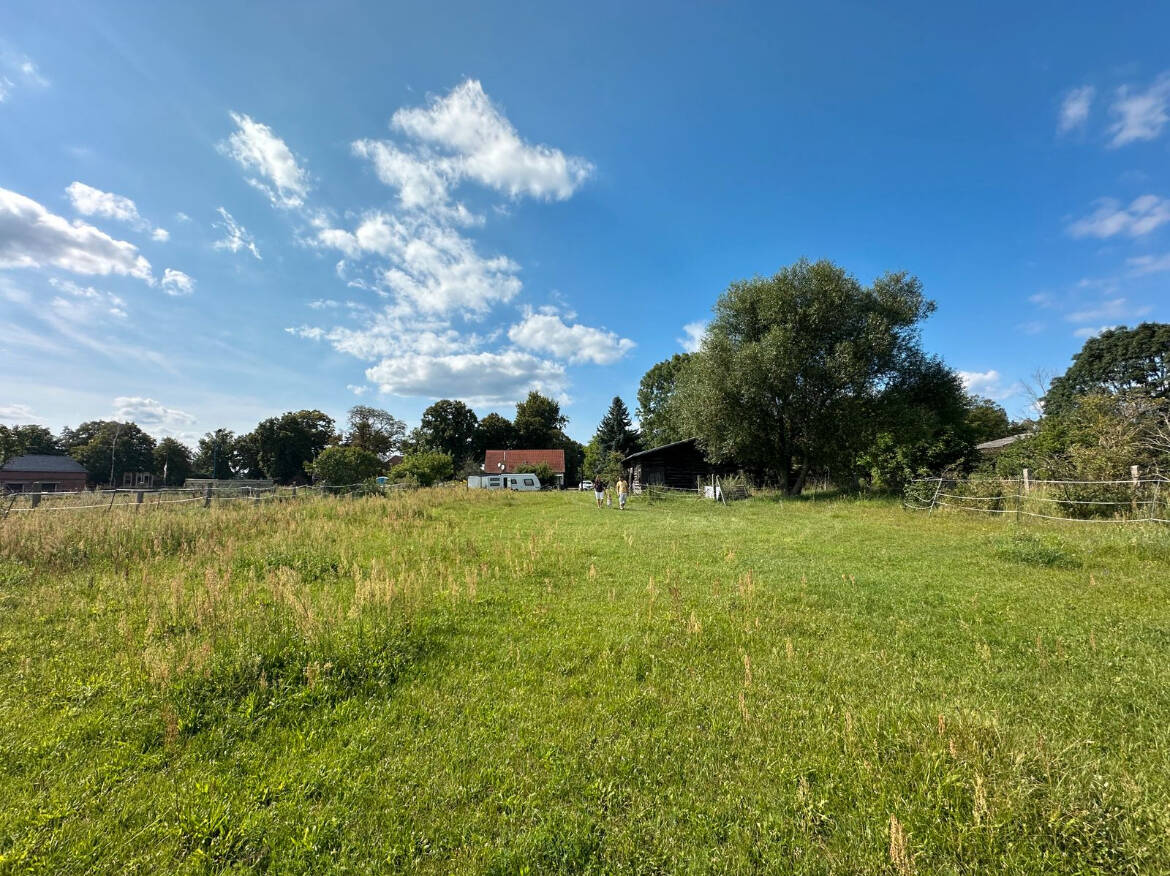 Ca. 5.000 m² Grundstück – Sanierungsobjekt mit Neubaupotenzial, 15938 Golßen