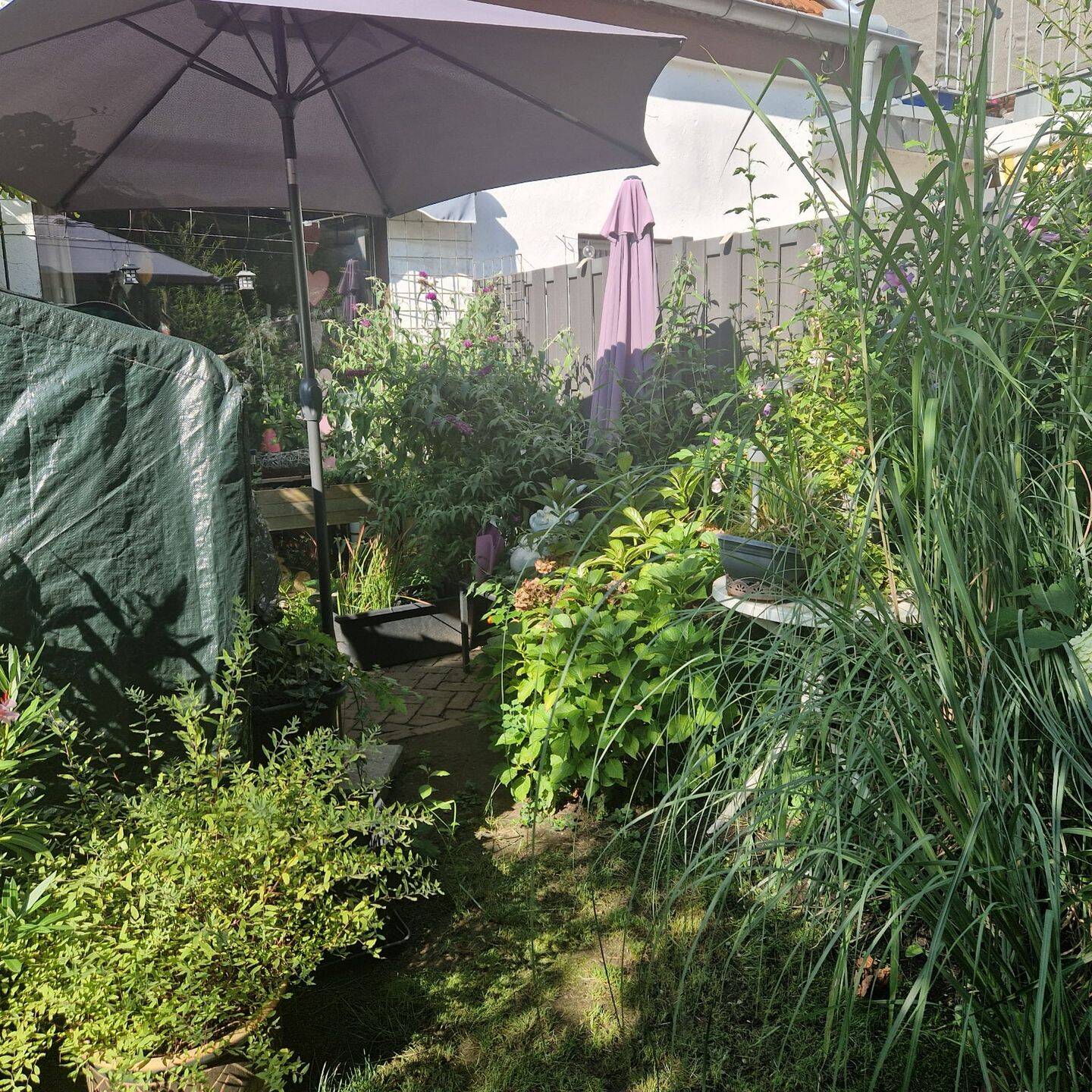 Großzügige 6 Zimmer Wohnung in Sonsbeck mit Garten, 47665 Sonsbeck
