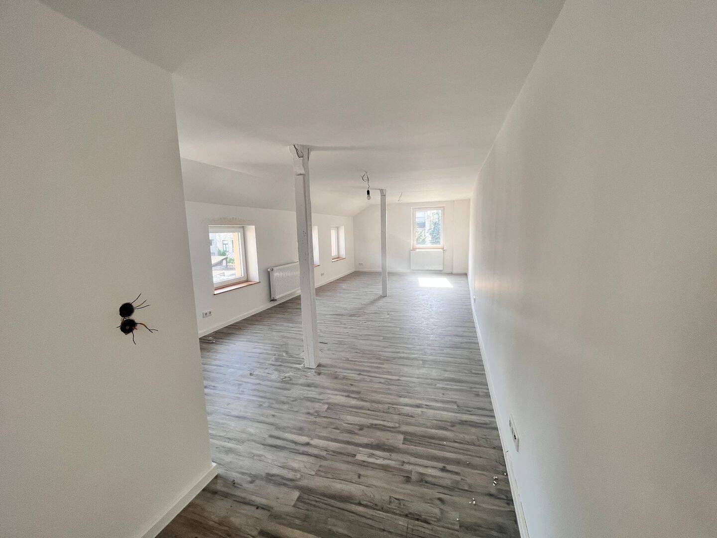 ERSTBEZUG nach Sanierung! Grosszügige,hochwertige Wohnung, 47798 Krefeld (Cracau Dießem/Lehmheide Inrath/Kliedbruch Kempener Feld/Baakeshof Stadtmitte)
