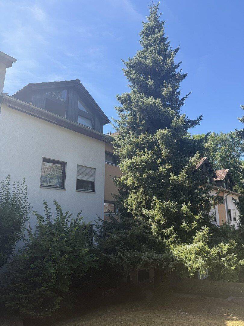2 Zimmer Wohnung mit Stellplatz von privat, 75180 Pforzheim (Büchenbronn Dillweißenstein Sonnenberg Sonnenhof)