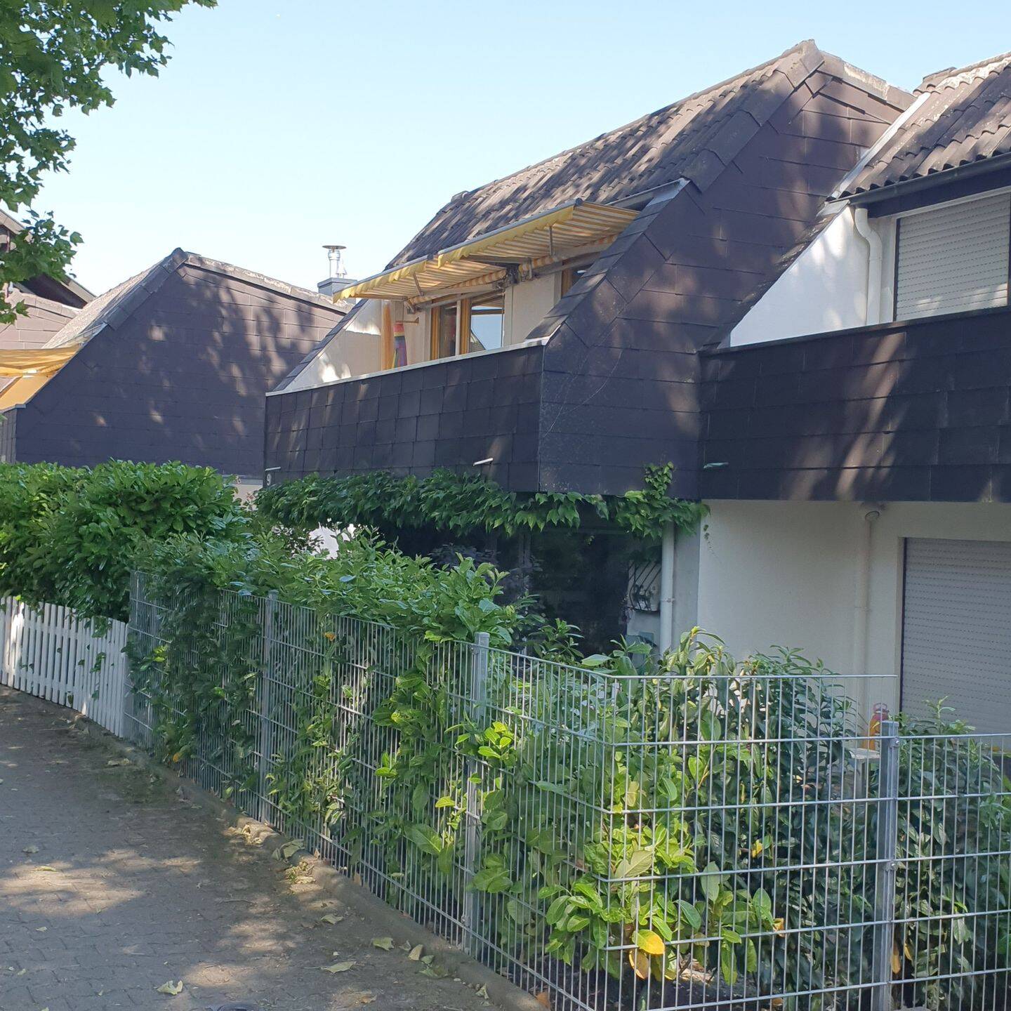 Bild 2