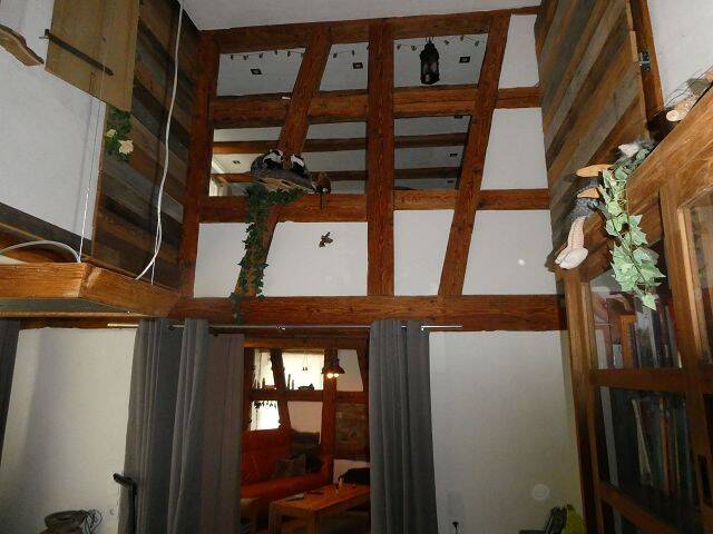 Bild 11